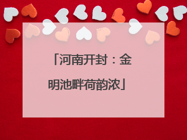 河南开封：金明池畔荷韵浓
