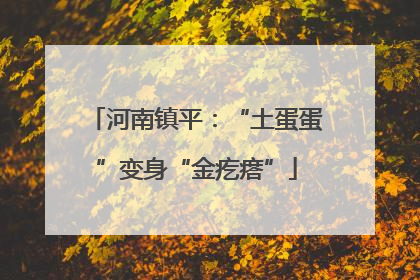河南镇平：“土蛋蛋”变身“金疙瘩”
