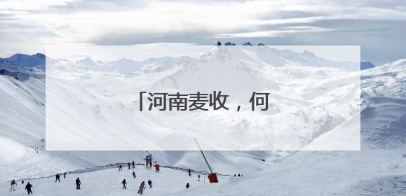 河南麦收，何以“顶流”？