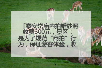 泰安岱庙内拍婚纱照收费300元，景区：是为了规范“商拍”行为，保证游客体验，收取费用全部上交国库