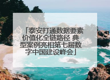 泰安打通数据要素价值化全链路径 典型案例亮相第七届数字中国建设峰会