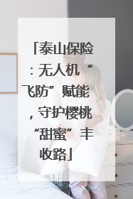 泰山保险：无人机“飞防”赋能，守护樱桃“甜蜜”丰收路