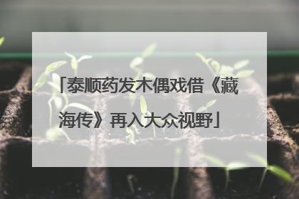 泰顺药发木偶戏借《藏海传》再入大众视野