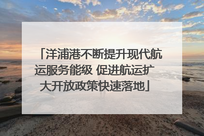 洋浦港不断提升现代航运服务能级 促进航运扩大开放政策快速落地