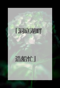 洞庭湖畔造船忙