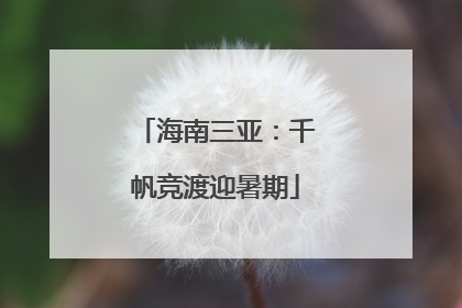 海南三亚：千帆竞渡迎暑期
