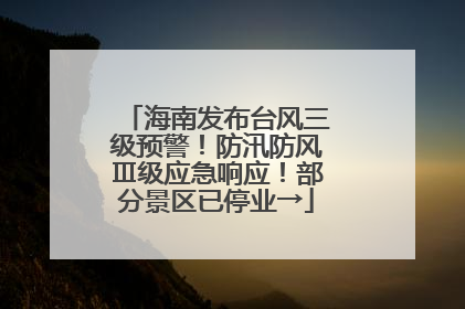 海南发布台风三级预警！防汛防风Ⅲ级应急响应！部分景区已停业→
