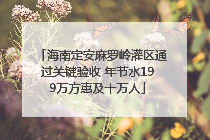 海南定安麻罗岭灌区通过关键验收 年节水199万方惠及十万人