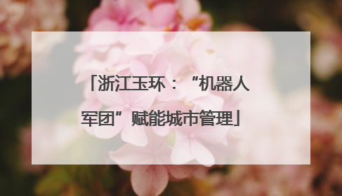浙江玉环：“机器人军团”赋能城市管理