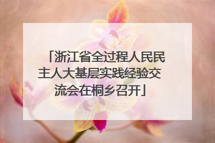 浙江省全过程人民民主人大基层实践经验交流会在桐乡召开