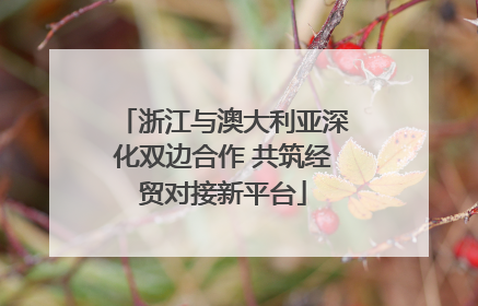 浙江与澳大利亚深化双边合作 共筑经贸对接新平台