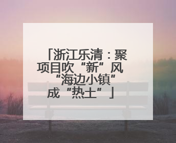 浙江乐清：聚项目吹“新”风 “海边小镇”成“热土”