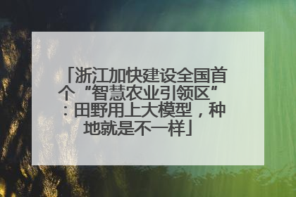 浙江加快建设全国首个“智慧农业引领区”：田野用上大模型，种地就是不一样