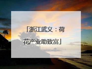 浙江武义：荷花产业助致富