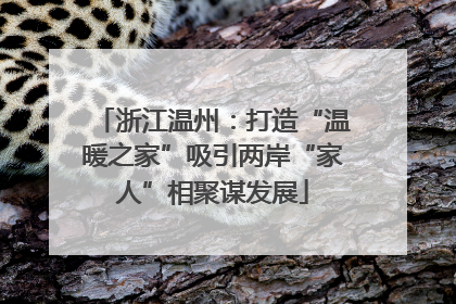 浙江温州：打造“温暖之家”吸引两岸“家人”相聚谋发展