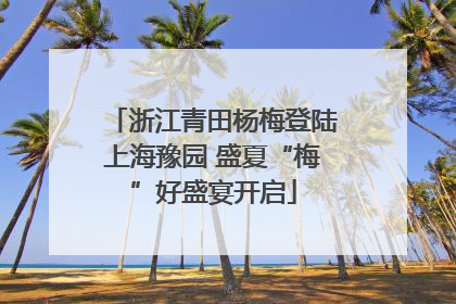 浙江青田杨梅登陆上海豫园 盛夏“梅”好盛宴开启