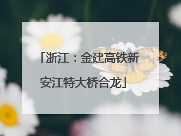 浙江：金建高铁新安江特大桥合龙