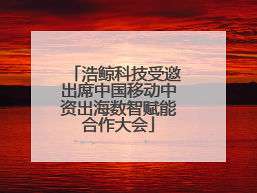 浩鲸科技受邀出席中国移动中资出海数智赋能合作大会