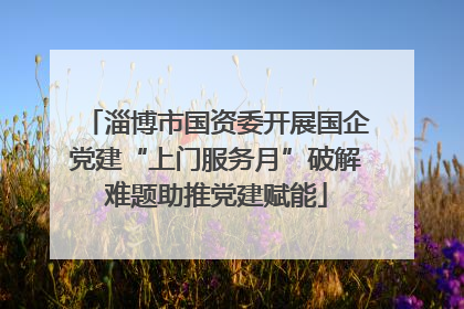 淄博市国资委开展国企党建“上门服务月”破解难题助推党建赋能