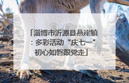 淄博市沂源县燕崖镇：多彩活动“庆七一” 初心如磐跟党走