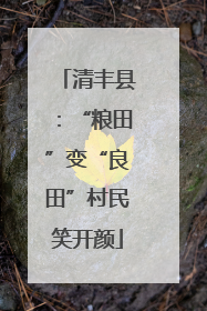 清丰县：“粮田”变“良田”村民笑开颜