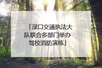渌口交通执法大队联合多部门举办驾校消防演练