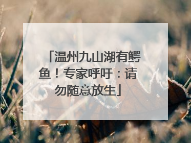 温州九山湖有鳄鱼！专家呼吁：请勿随意放生
