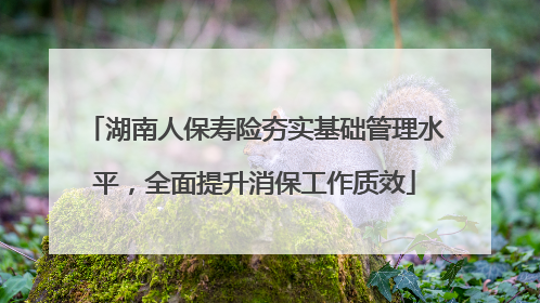 湖南人保寿险夯实基础管理水平，全面提升消保工作质效