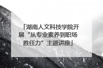 湖南人文科技学院开展“从专业素养到职场胜任力”主题讲座