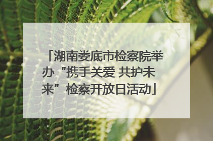 湖南娄底市检察院举办“携手关爱 共护未来”检察开放日活动