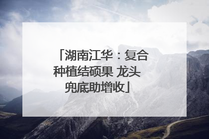 湖南江华：复合种植结硕果 龙头兜底助增收