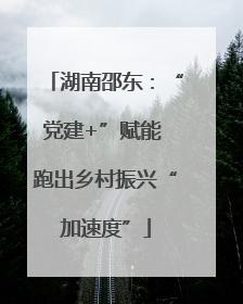 湖南邵东：“党建+”赋能 跑出乡村振兴“加速度”