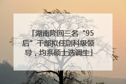 湖南隆回三名“95后”干部拟任副科级领导，均系硕士选调生