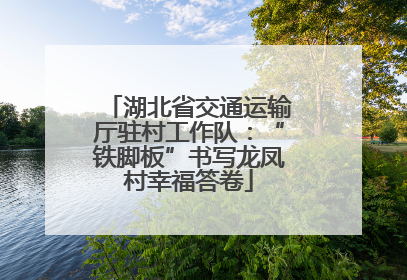 湖北省交通运输厅驻村工作队：“铁脚板”书写龙凤村幸福答卷