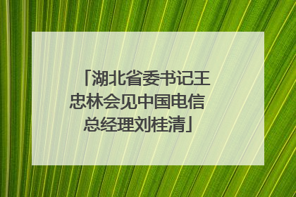 湖北省委书记王忠林会见中国电信总经理刘桂清