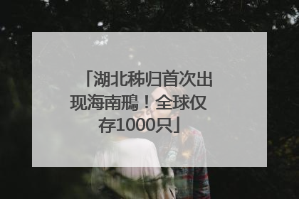 湖北秭归首次出现海南鳽！全球仅存1000只