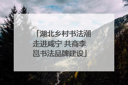 湖北乡村书法潮走进咸宁 共商李邕书法品牌建设