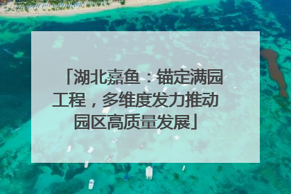 湖北嘉鱼：锚定满园工程，多维度发力推动园区高质量发展
