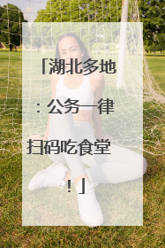 湖北多地：公务一律扫码吃食堂！