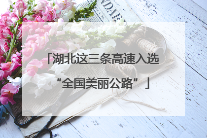 湖北这三条高速入选“全国美丽公路”