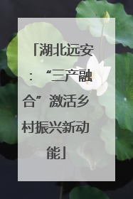 湖北远安：“三产融合”激活乡村振兴新动能