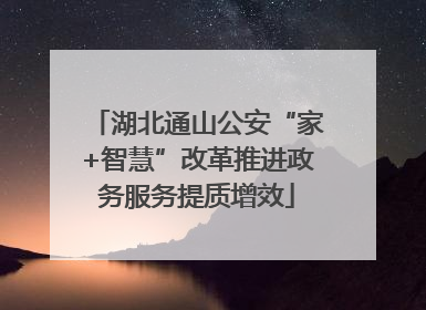 湖北通山公安“家+智慧”改革推进政务服务提质增效