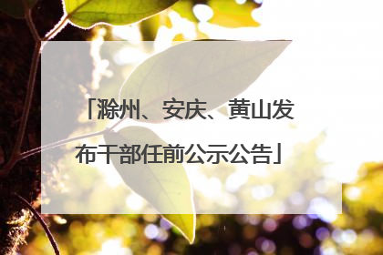 滁州、安庆、黄山发布干部任前公示公告