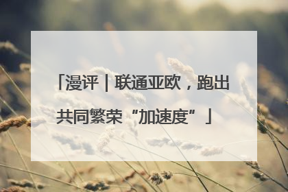漫评｜联通亚欧，跑出共同繁荣“加速度”