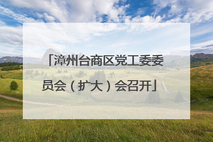 漳州台商区党工委委员会（扩大）会召开