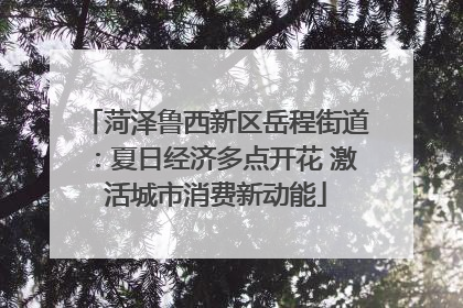 菏泽鲁西新区岳程街道：夏日经济多点开花 激活城市消费新动能