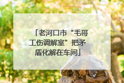 老河口市“毛哥工伤调解室”把矛盾化解在车间
