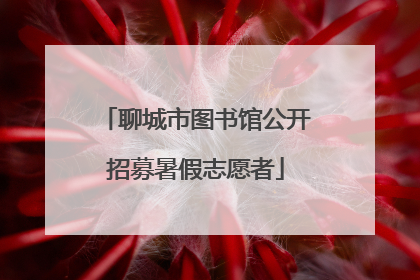 聊城市图书馆公开招募暑假志愿者