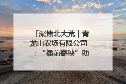 聚焦北大荒｜青龙山农场有限公司：“插前寄秧”助力农业节本增效