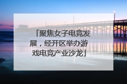 聚焦女子电竞发展，经开区举办游戏电竞产业沙龙